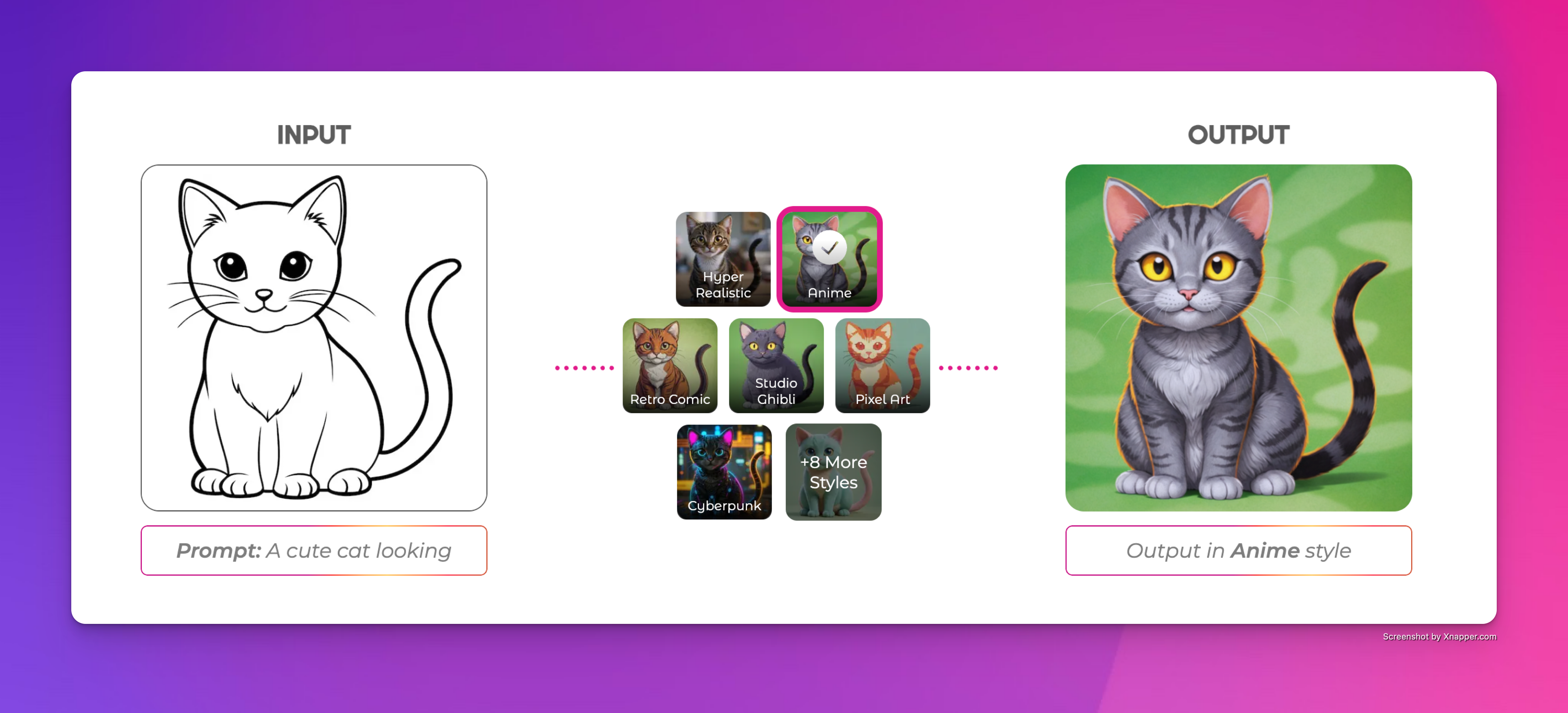 cats-inputOutput-img