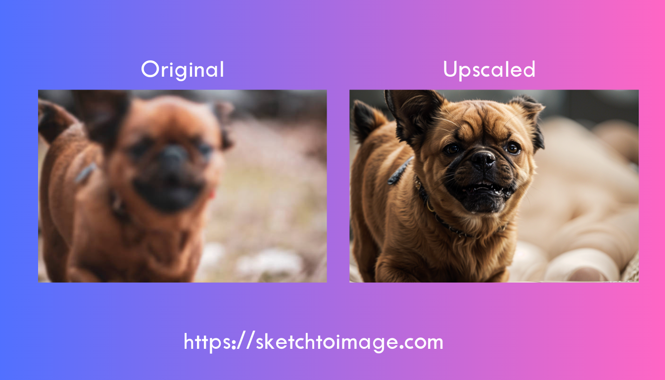 upScaleDog-img